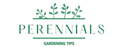 gardening-tips-perennials